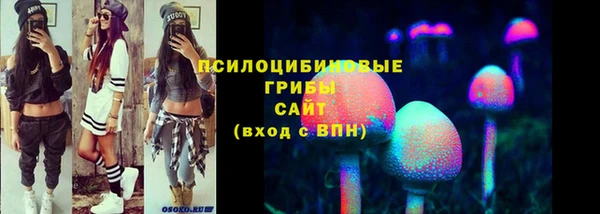 мдма Новодвинск