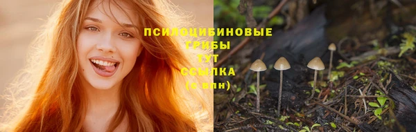стафф Нязепетровск