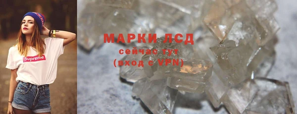 индика Нягань