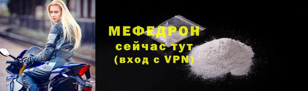 индика Нягань