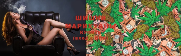марки lsd Новозыбков