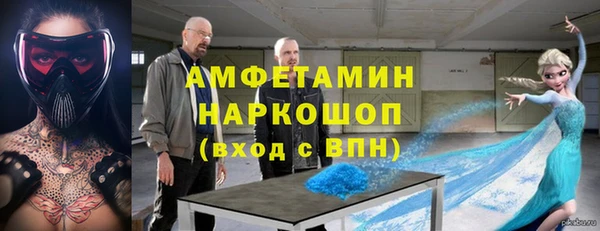 индика Нягань