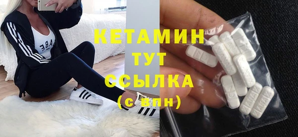 индика Нягань